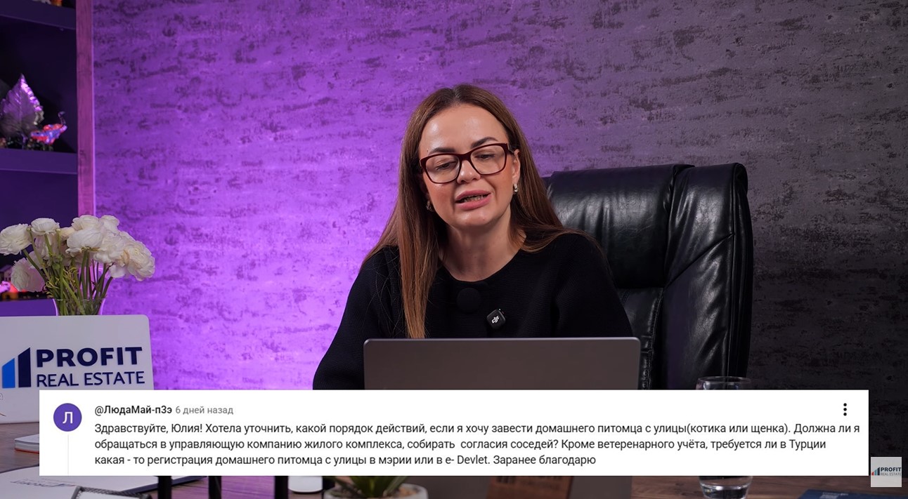 Если вы хотите завести кота или собаку с улицы в Турции