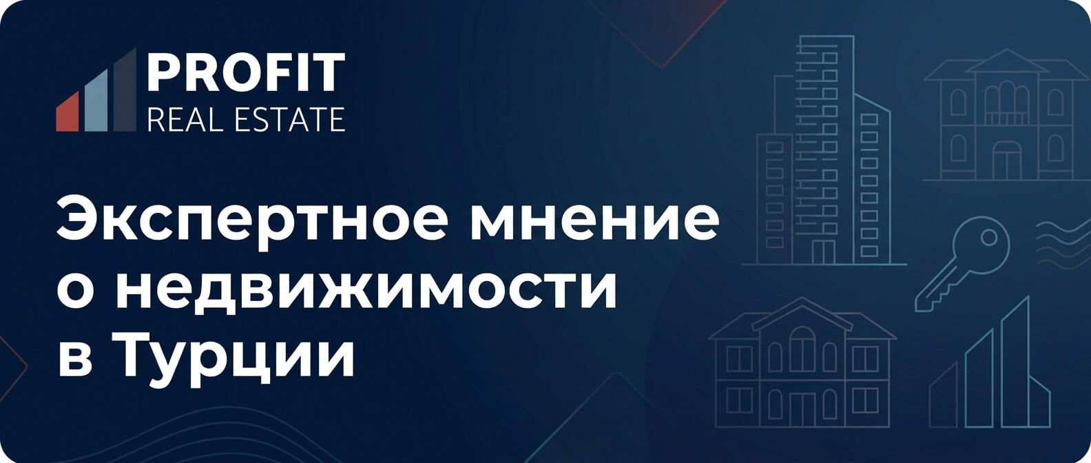 экспертное мнение